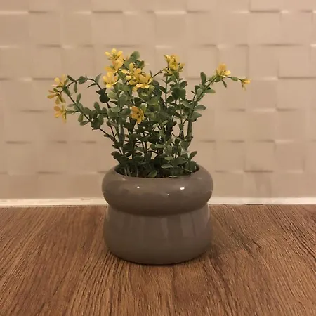 Alexander Luxury Διαμέρισμα *